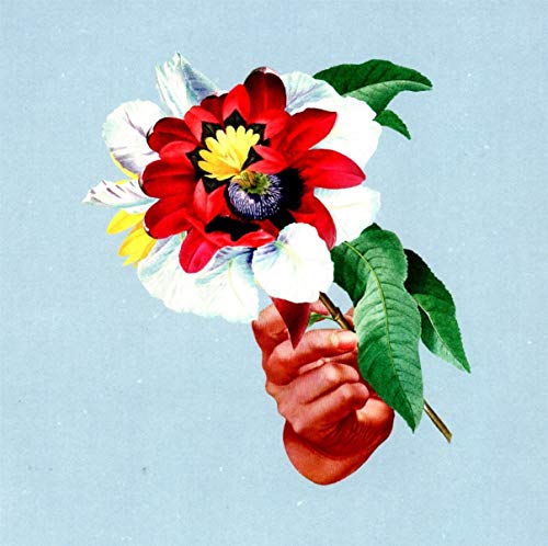 CD cover: hand holding a vibrant red and white flower.