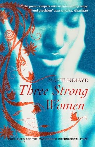 Book cover: blurred portrait of a woman with red floral design.