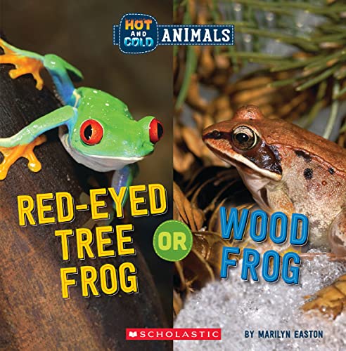 A red-eyed tree frog on a branch next to a wood frog on snow.