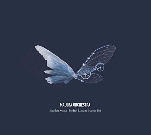 "Vinyl album cover with a blue butterfly on a dark blue background."