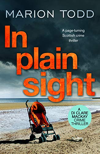 A book cover shows an orange stroller on a beach under a stormy sky.