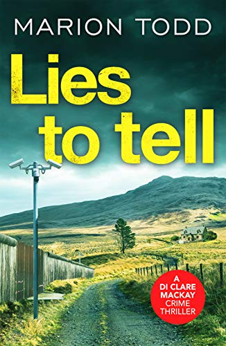 Book cover showing a dirt path, a security camera, and a house in hills.
