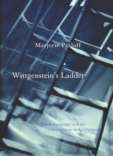 Book cover with a blurred image of a ladder and white text.