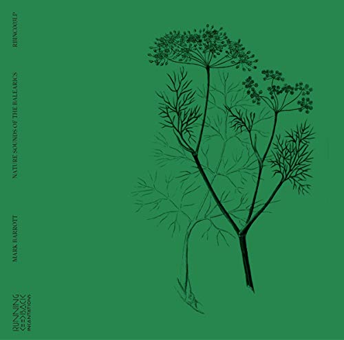 Green vinyl record cover with detailed botanical illustration of wild plants.