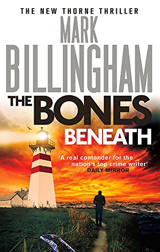 Book cover featuring a lighthouse and a lone figure against a dramatic sunset sky.