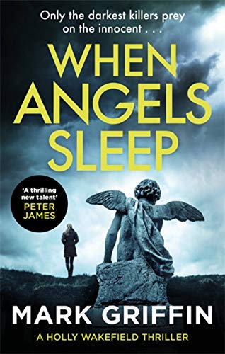 Book cover with angel statue, lone figure, and stormy sky.