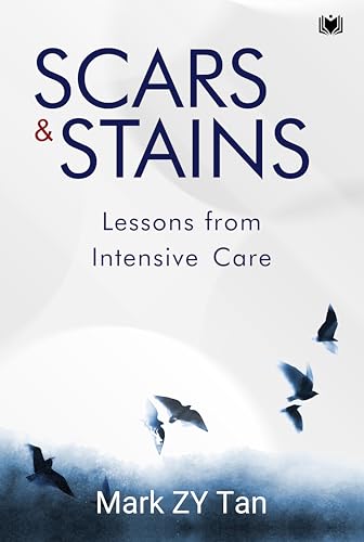 Book cover with dark birds flying towards a bright, hazy circle.