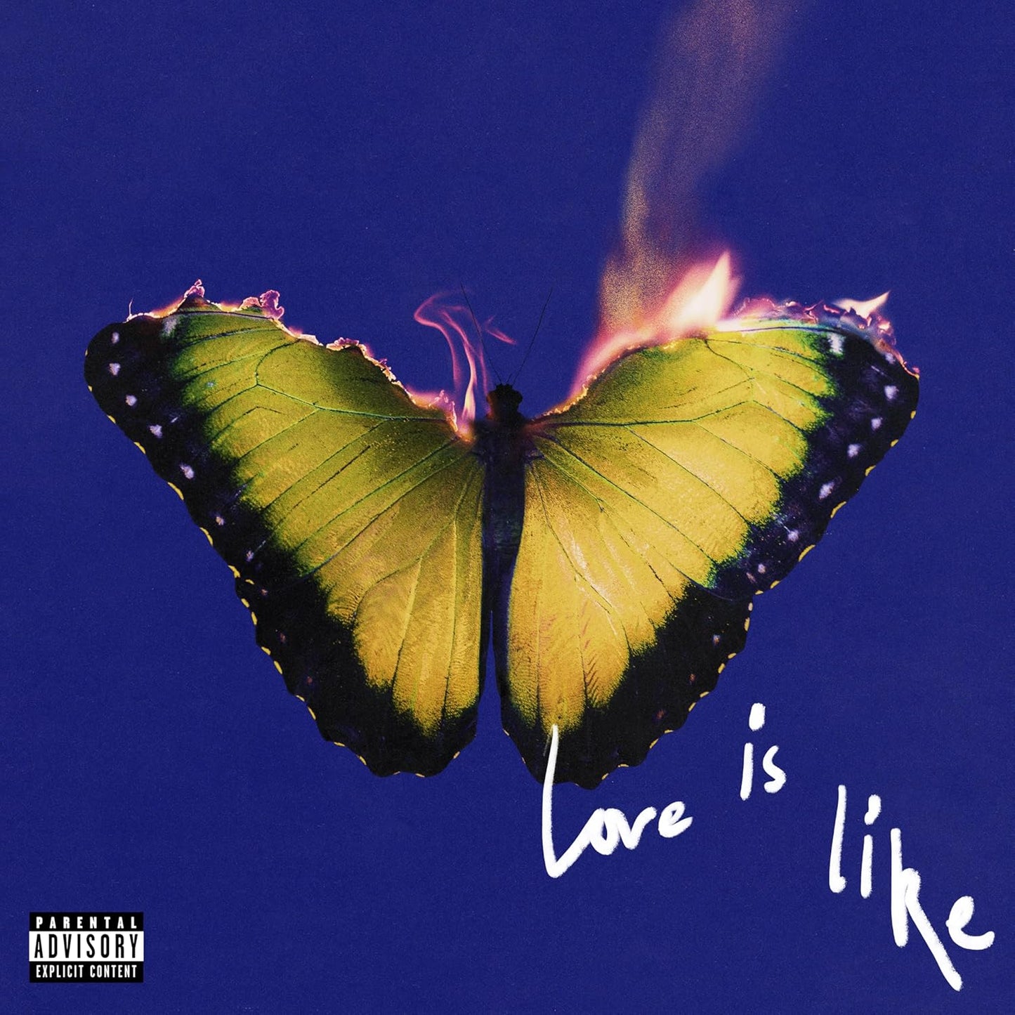 Burning butterfly on a blue background with the text "Love is like".