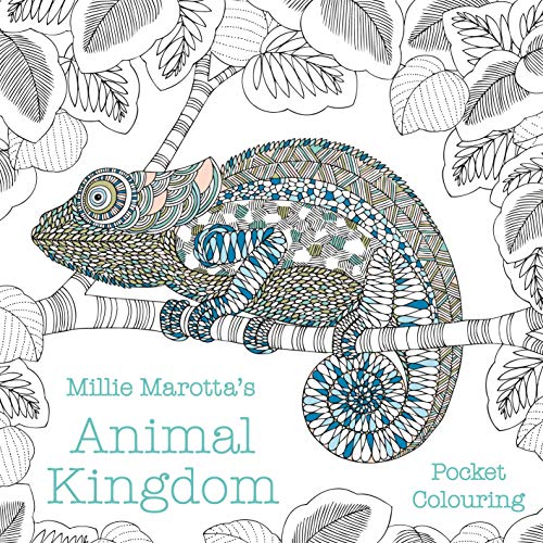 Detailed line drawing of a chameleon on a branch, coloring book.