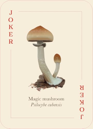 Playing card depicting two tan mushrooms with white stems, labeled "Magic mushroom.
