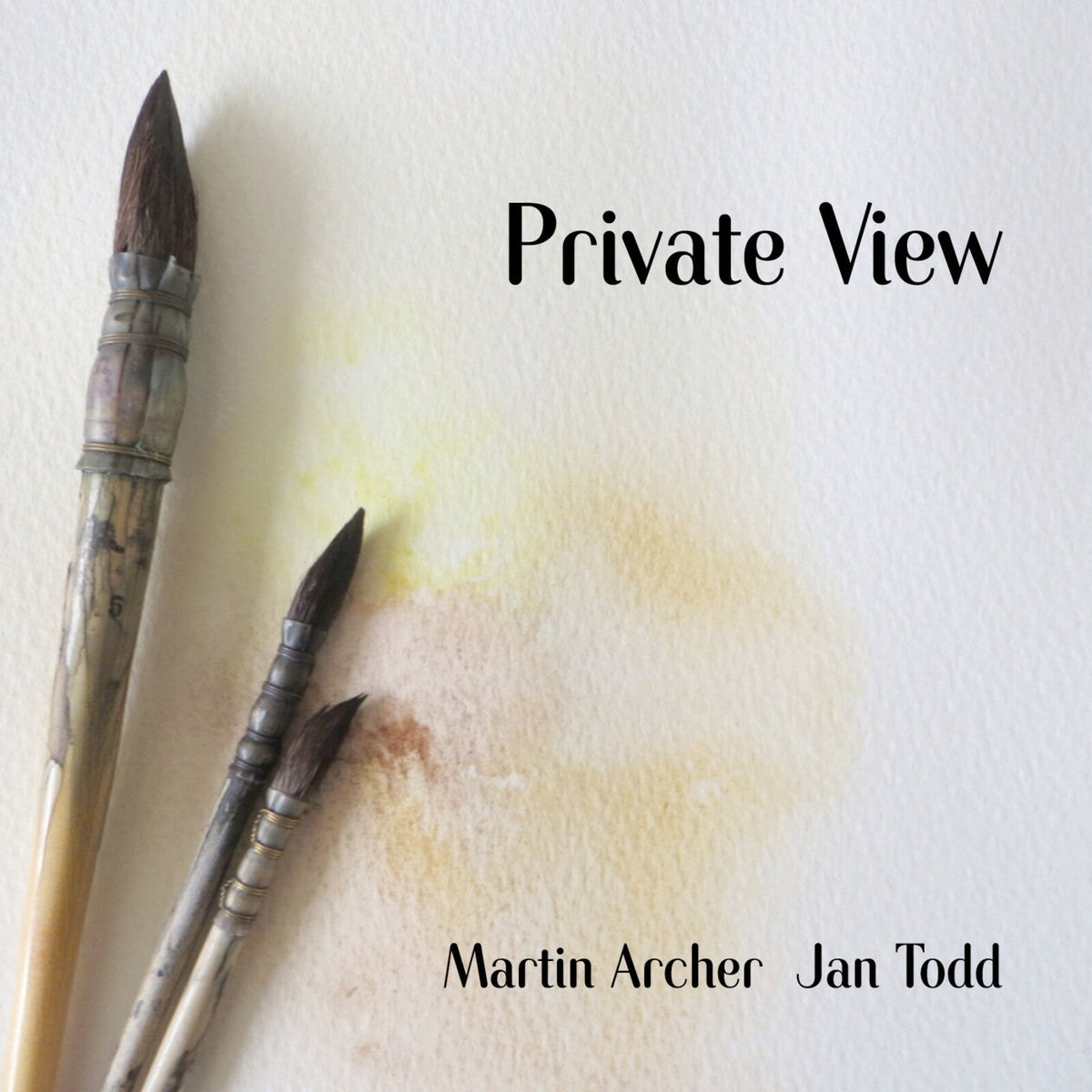 CD cover with paintbrushes and watercolor wash, titled "Private View".