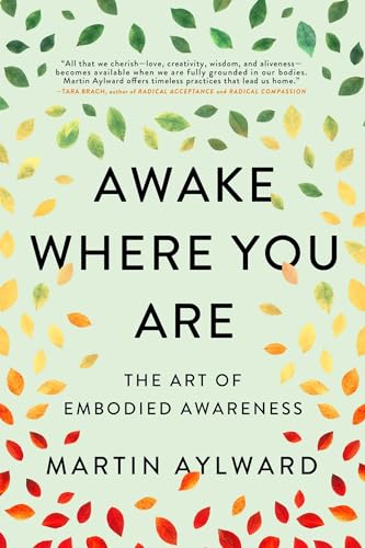 Book cover: “Awake Where You Are” with falling leaves design.