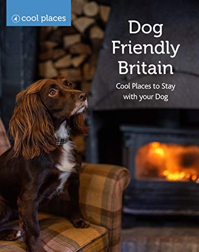 Book cover featuring a dog looking up near a fireplace.