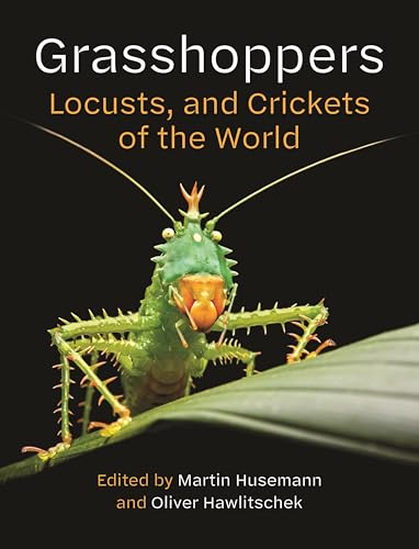 Book cover featuring a bright green, spiky grasshopper on a leaf.