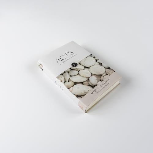 White book titled "ACTS" with a stone-covered image, by Martin C. Salter.