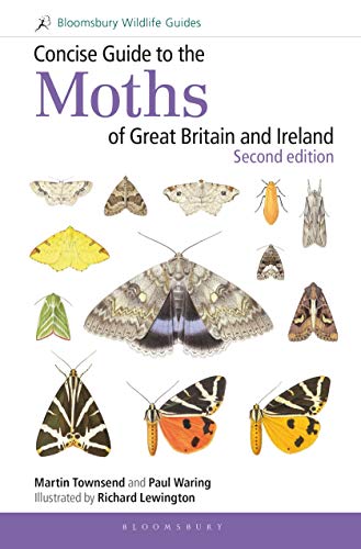 Book cover featuring various moth illustrations and the title Concise Guide to the Moths.