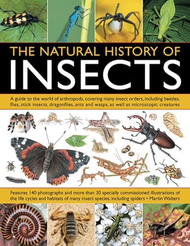 Book cover titled The Natural History of Insects featuring various insect and arachnid illustrations.