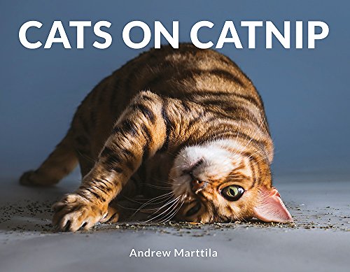 Tabby cat rolling in catnip, book cover titled "Cats on Catnip".