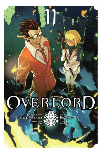 Manga cover featuring two fantasy characters with the title "Overlord, Vol. 11".