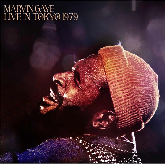 Marvin Gaye album cover, profile portrait in warm tones, 1979.