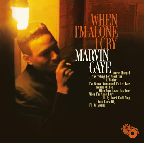 Marvin Gaye album cover, "When I'm Alone I Cry", warm tones.