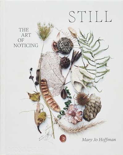Book cover with a collection of dried leaves, seed pods, and ferns on white.