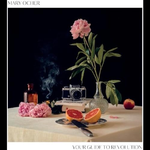Still life with flowers, vintage camera, fruit, and a book.