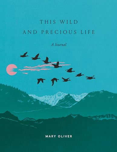 A journal cover featuring a flock of birds flying over mountains against a blue sky.