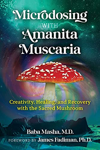 Book cover featuring a red Amanita muscaria mushroom against a swirling cosmic background.