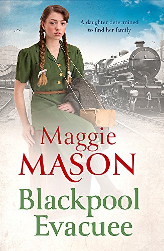 Book cover: young woman in vintage dress with a train in background.