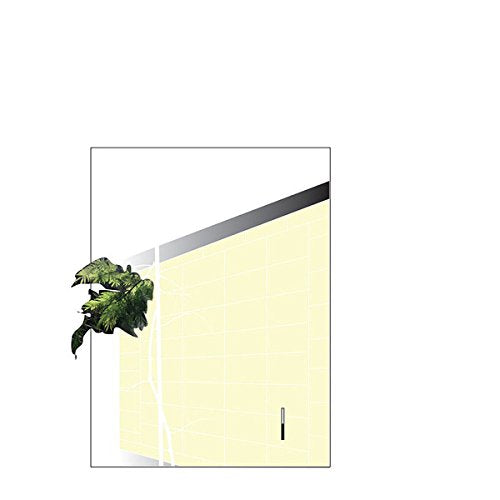 Yellow and white vinyl record sleeve with abstract plant detail.