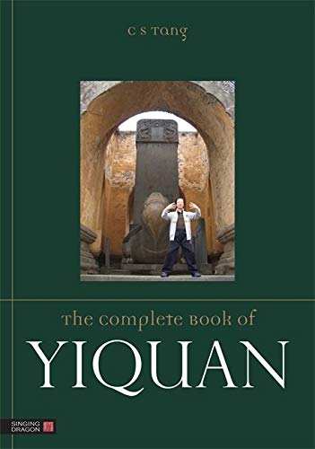 Book cover with a man practicing martial arts under an archway.