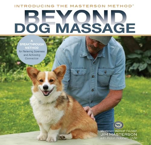 A man in a blue shirt massages a corgi in a grassy outdoor setting.