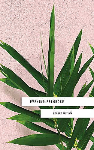 Book cover: pink background with green leaves and title "Evening Primrose".