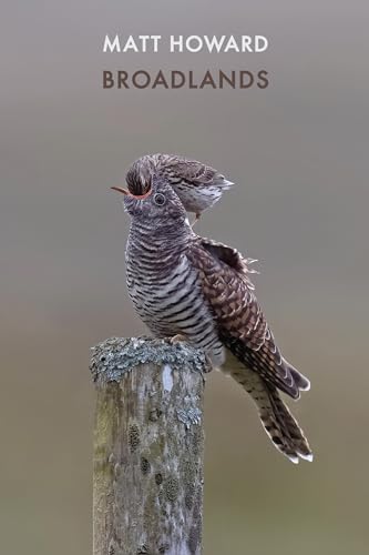 Book cover: a close-up of a nightjar perched on a wooden post.