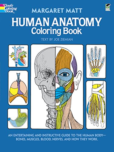 Human anatomy coloring book cover with skull, muscles, and organ illustrations.