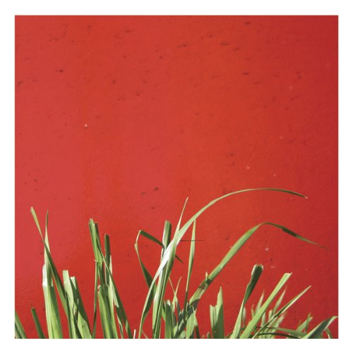 Red background with green grass blades in the foreground.