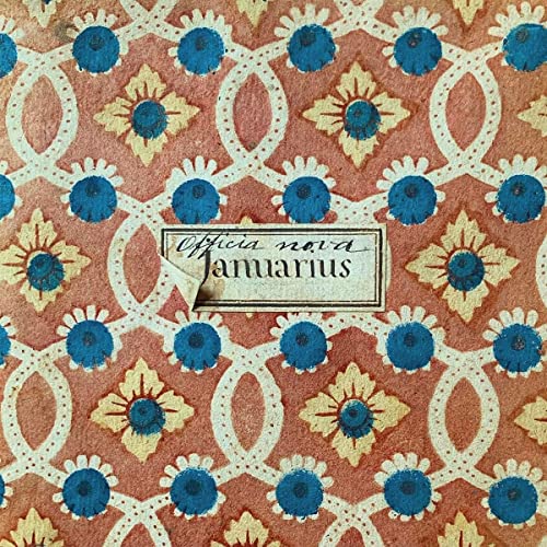 Vinyl record cover with a repeating floral and geometric pattern.