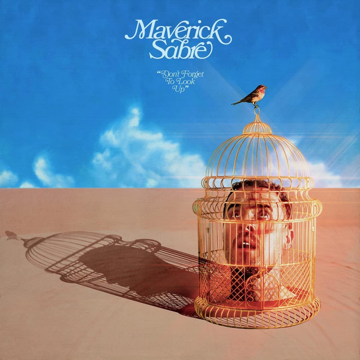 "Album cover featuring a man in a birdcage with a bird on top."