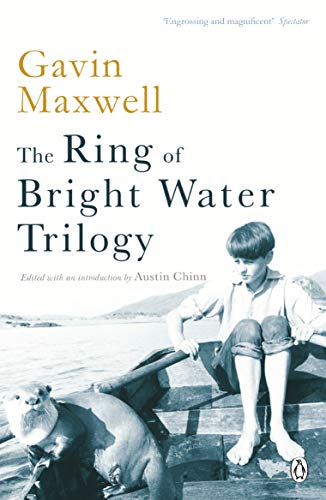 Book cover showing a boy and an otter in a boat on water.