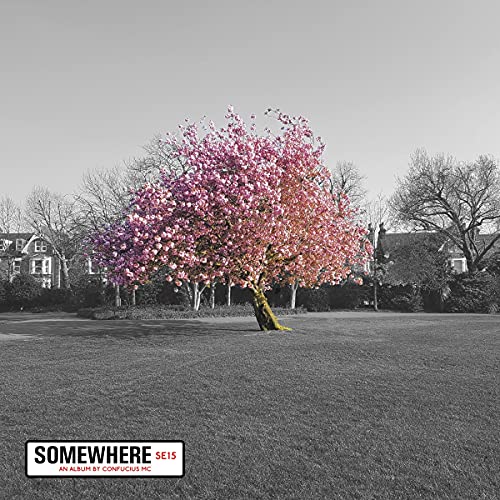 CD cover: Black and white landscape with a pink flowering tree.