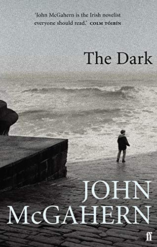 Book cover: lone figure by stormy sea, titled "The Dark" by John McGahern.