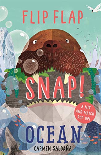 Children’s book cover featuring a walrus and ocean scene with text.