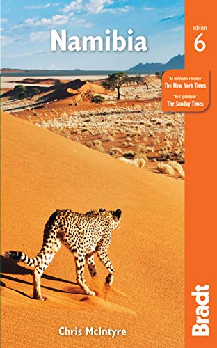 A cheetah walks across a large orange sand dune in the Namibia travel guide.