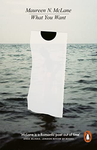 Book cover: white fabric hanging over a dark, wavy ocean background.