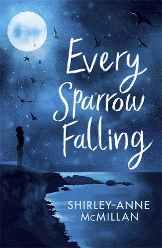 Book cover: silhouette of a person, birds, moon, and dark ocean.