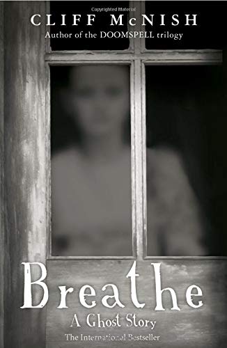 Book cover showing a blurred, ghostly figure behind a dark, multi-paned window frame.