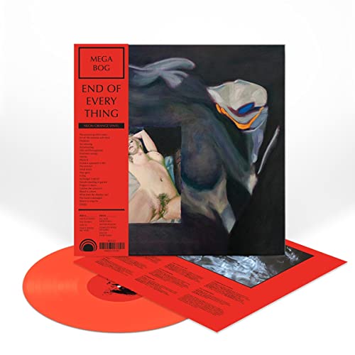 Vinyl record of Mega Bog’s “End Of Everything” with abstract cover art.
