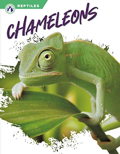 Book cover featuring a green chameleon clinging to a leafy branch.