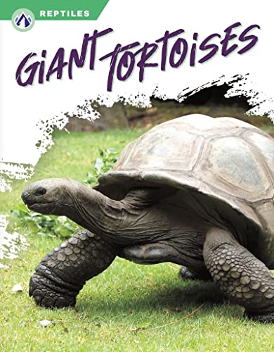 Book cover featuring a large tortoise with a textured shell.